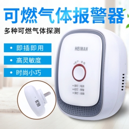 燃?xì)馓綔y(cè)器